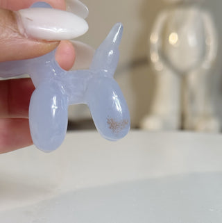 Blue Chalcedony’s are mini Balloon dog and