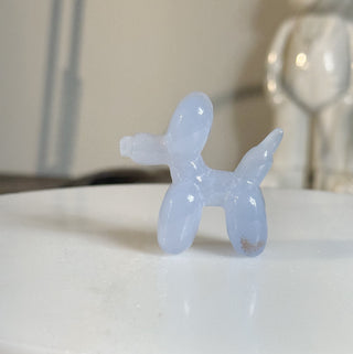 Blue Chalcedony’s are mini Balloon dog and