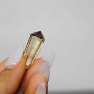 Mini Brazilian Citrine Vogel – Amplifier of Joy & Abundance