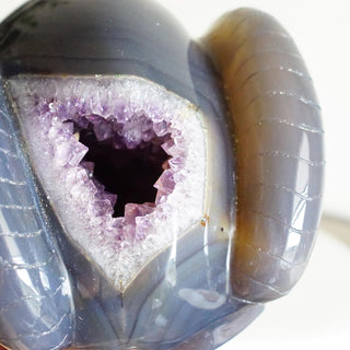 Druzy Amethyst Agate Skull with horns