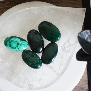 Natural Malachite Palm
