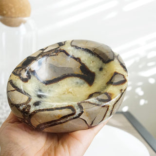 Septarian bowl ( 1lb 14.5 oz )