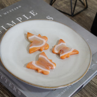 Carnelian Butterfly with beautiful Banding