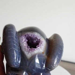 Druzy Amethyst Agate Skull with horns