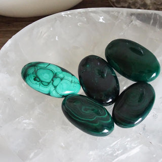 Natural Malachite Palm
