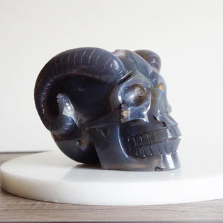 Druzy Amethyst Agate Skull with horns