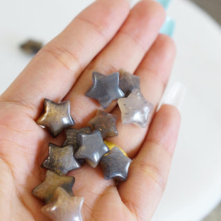 High quality Black Sunstone mini Star
