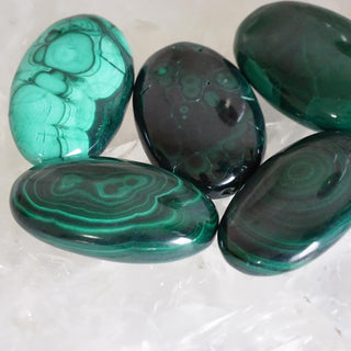 Natural Malachite Palm