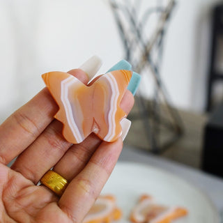 Carnelian Butterfly with beautiful Banding