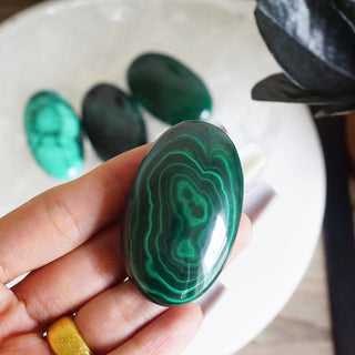 Natural Malachite Palm