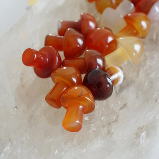 Carnelian mini Mushroom