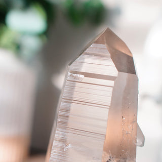 Brazilian Smoky Lemurian Point with Black Metal Stand