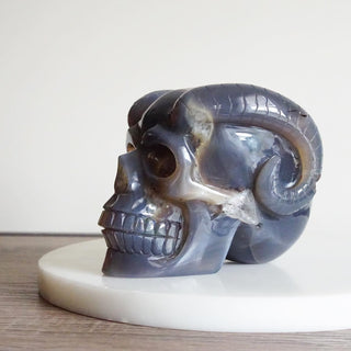 Druzy Amethyst Agate Skull with horns